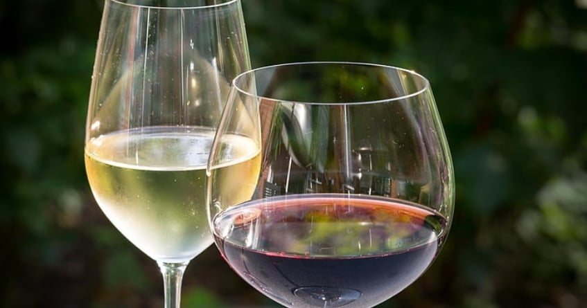 Red and white wine glasses side by side outdoors, demonstrating how bowl size and rim shape affect temperature and aroma for wine-based cocktails.